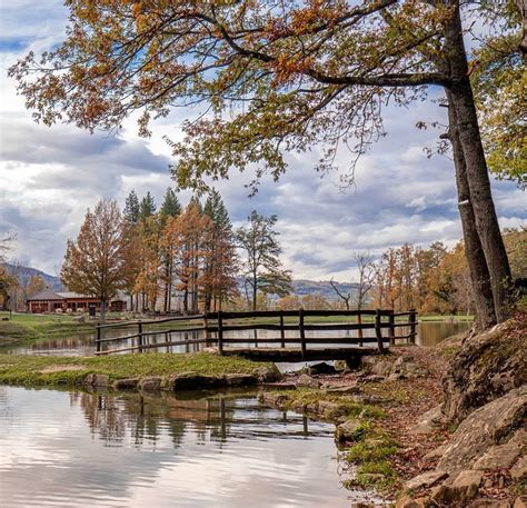 Sono tante le strutture e i servizi pet friendly: Due idee per vivere la natura di Bagno di Romagna ...