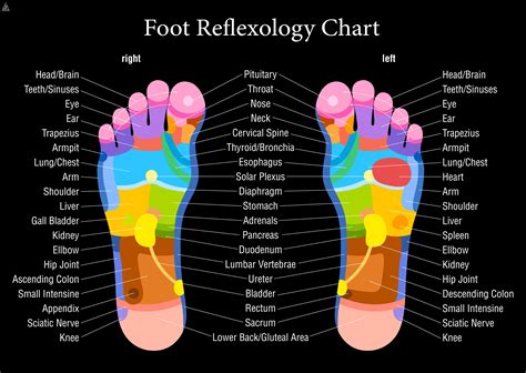 Reflexology can be done by one's self or somebody else a complete foot massage would consist of the following steps which would take an hour to complete. Unearth the Power of a Refloxology Foot Massage at Araya ...