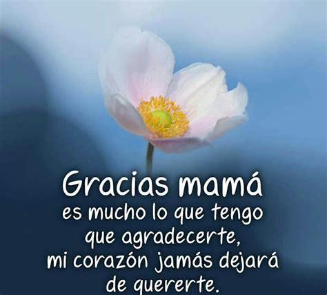 Gracias Mama Good Day Messages Thank You Quotes Holy Spirit Verse