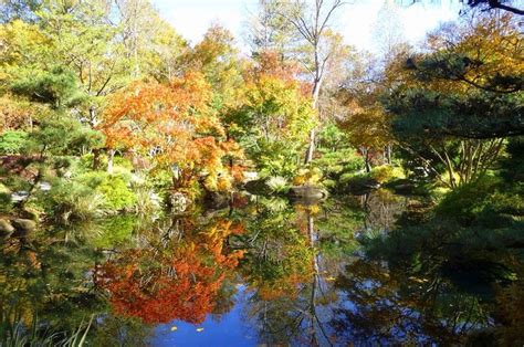Gibbs Gardens Maples Reflected In Pond Scenery Pond Plants