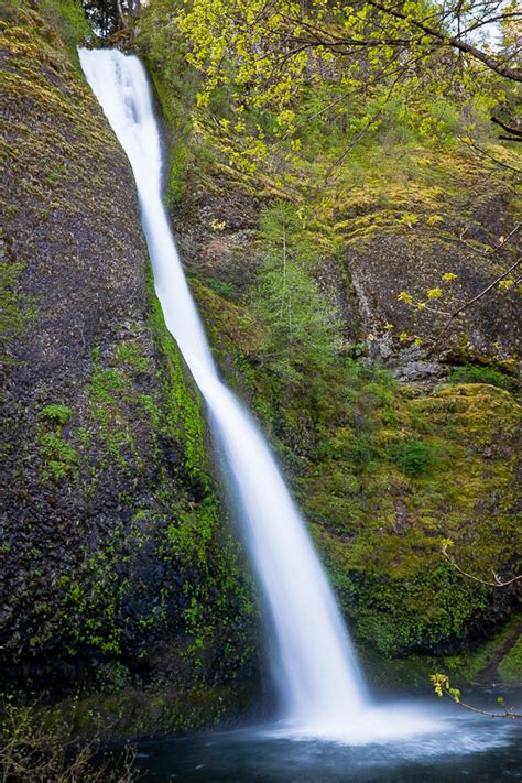 Horsetail Falls Multnomah County Oregon Northwest Waterfall Survey