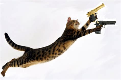 Funny Cats With Guns Kaemfret Blog
