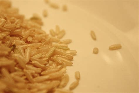 Brown Rice Uncooked Picture | Free Photograph | Photos Public Domain
