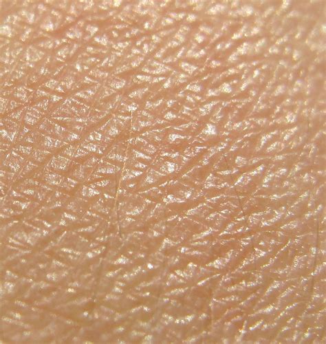 Pin On Skin Textures