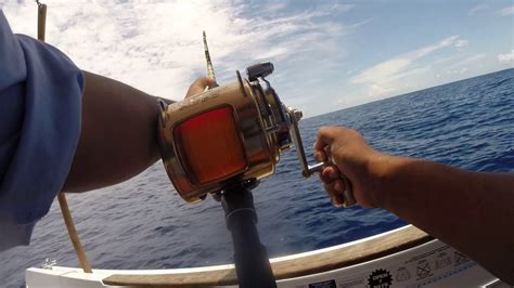 Cairns Fishing 18kg Wahoo Youtube
