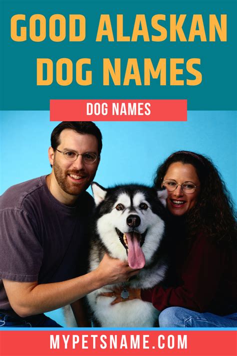 Good Alaskan Dog Names Alaskan Dog Dog Names Best Dog Names