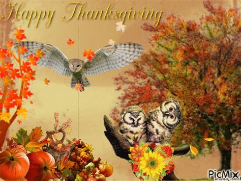 Thanksgiving Owls Pictures Photos And Images For Facebook Tumblr