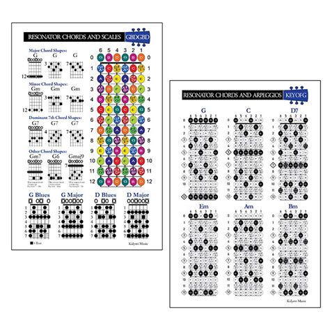 Resonator Guitar Dobro Chords Scales And Fretboard Poster Set