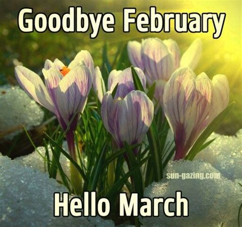 Goodbye February Hello March February Hello Hello March Images Hello