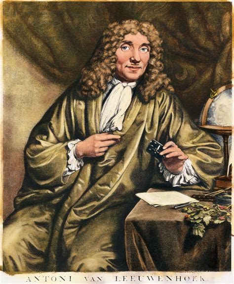 La Impresionante Historia De Anton Van Leeuwenhoek El “descubridor” De