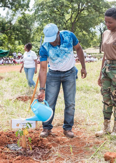 National Bank In A Nationwide Tree Planting Initiative