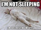 45+ funny sleep memes because it's way past bedtime
