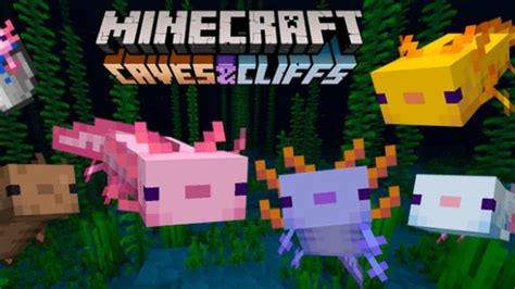 How To Tame Axolotls In Minecraft Caves And Cliffs Food Location And More