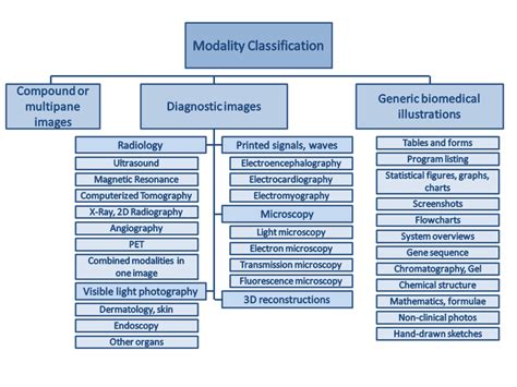 1 Modality Hierarchy Of The Imageclef 2012 Modality Classification