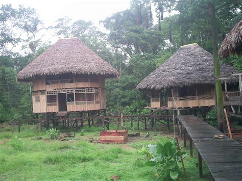 Our Hut In Cuyabeno Amazon Rainforest Flickr Photo Sharing