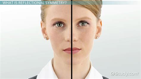 Or want to know more information about math only math. Reflectional Symmetry: Definition & Examples - Video ...