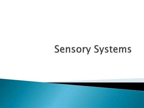 Ppt Sensory Systems Powerpoint Presentation Free Download Id3204915