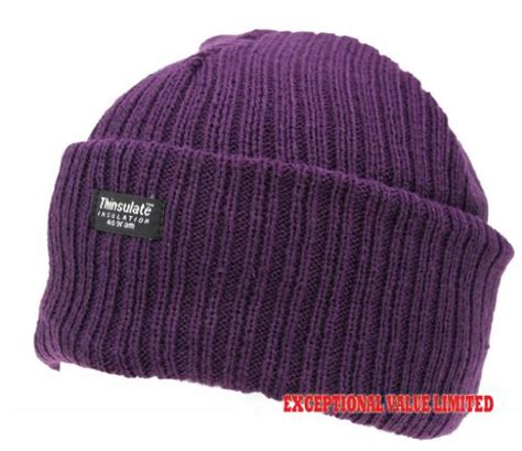 Ladies Thinsulate Beanie Hat Fleece Lined Winter Ski Rib Knitted Cap 40