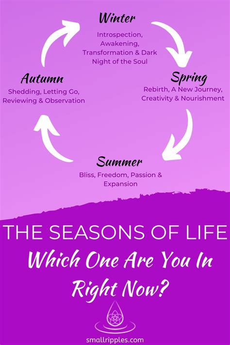The Seasons Of Life Which One Are You In Right Now Seasons Of Life