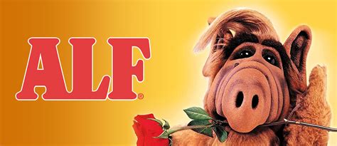 shout tv watch full episodes of alf
