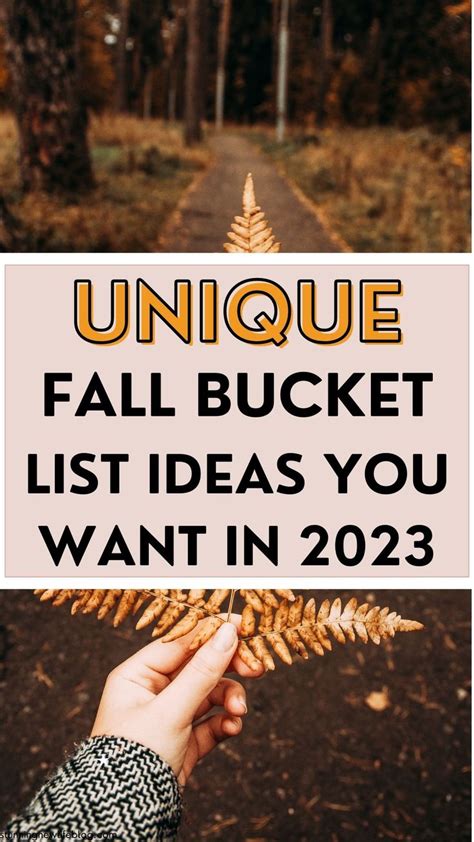 Unique Fall Bucket Ideas You Want To Try In 2023 Fall Bucket List