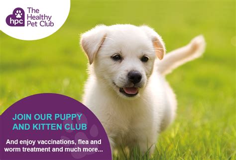 Especially the smaller animals and fish. Neutering your dog | All Creatures Veterinary Centre