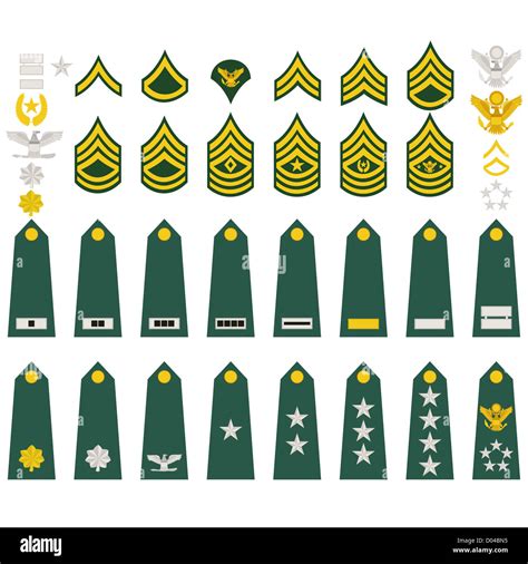 Epaulets Rangos Militares E Insignias Ilustración Sobre Fondo Blanco