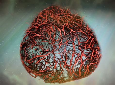 Scientists Grow Perfect Human Blood Vessels In A Petri Dish
