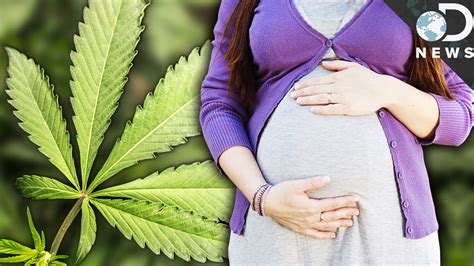 Pregnant Women Using Cannabis This Is What Really Happens
