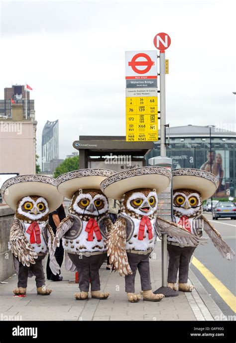 Four Mariachi Owls From The Animated Film Rango Hi Res Stock