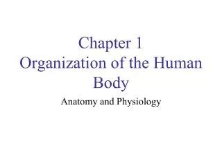 Ppt Organization Of The Human Body Powerpoint Presentation Free