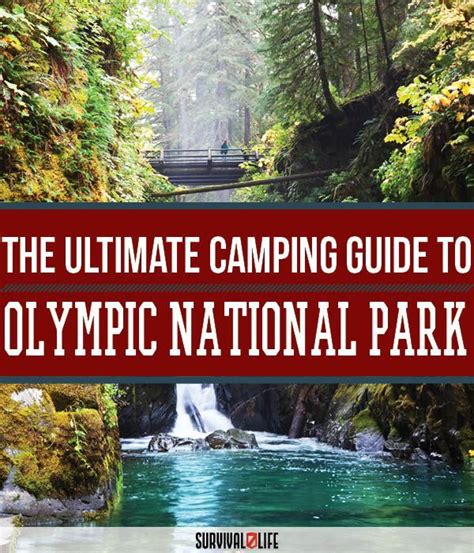 Olympic National Park Camping Survival Life National Park Camping