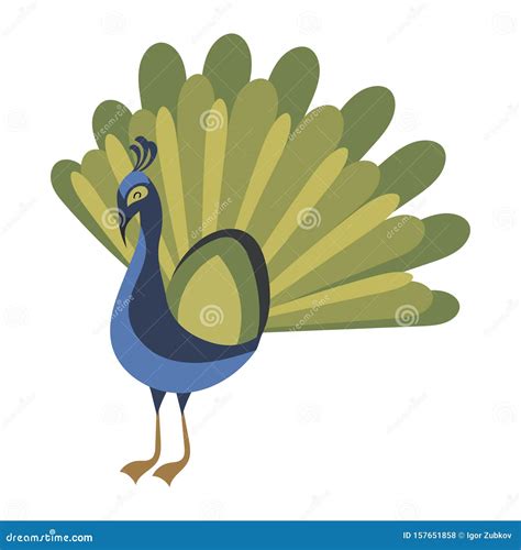 Peacock Vector Drawing 65362801