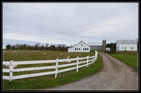 Part Ii Of Our Autumn Visit To Amish Country In Upstate Ny Life As I