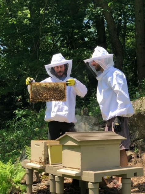 Mar 29 Bees Chickens And Permaculture Workshop Presented By The New Canaan Nature Center