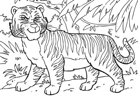 Desenho Para Colorir tigre Imagens Grátis Para Imprimir img 27858