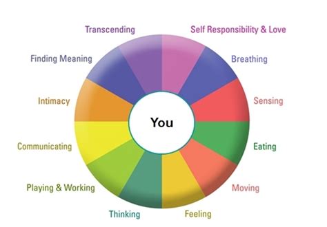 Join Us On A Professional Journey Into Our Whole Person Wellbeing Model