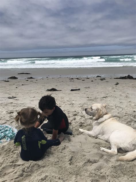 Living the good life. | Scrolller