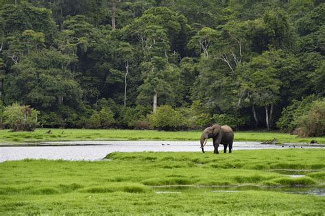 Gabon Travel Guide Essential Facts And Information
