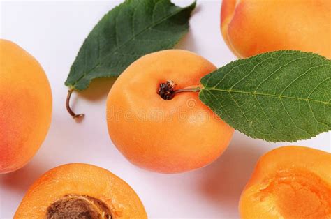 Fresh Apricot With A Leaf Stock Image Image Of Leaves 41805973