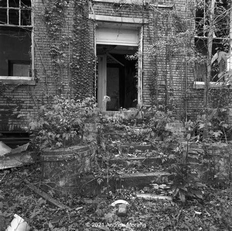 Urban Decay Tragic Neglect Arlington Mansion Natchez Mississippi