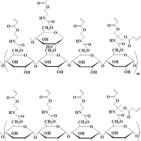 Chemical Structures Of Amylopectin And Amylose Derivatives In