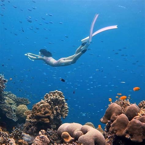Biyadhoo Island Resort Review Maldives Snorkel Around The World Artofit