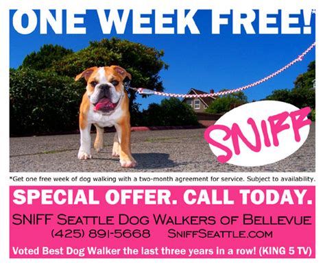 One Week Free From Sniff Seattle Dog Walkers Bellevue