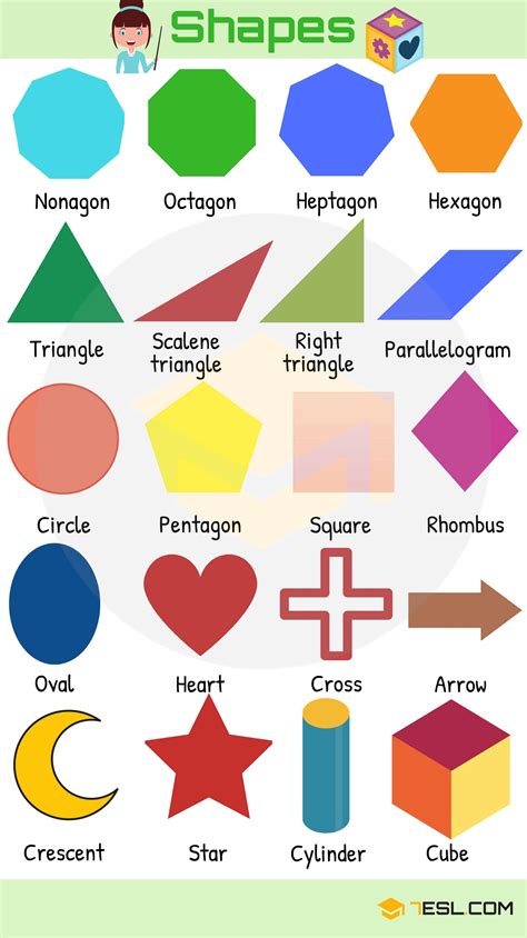 Types Of Shapes Defined