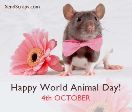4 with an aim to raise the status of animals in order to improve welfare standards around the globe. the day also. ᐅ Top 8 World Animal Day images, greetings and pictures ...