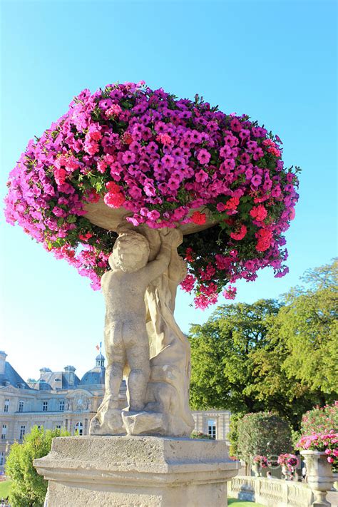 Statue In Tuileries Garden Paris Photograph By Rupali Kumbhani Fine