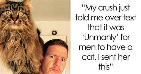50 Of The Funniest Cat Pictures On The Internet New Pics