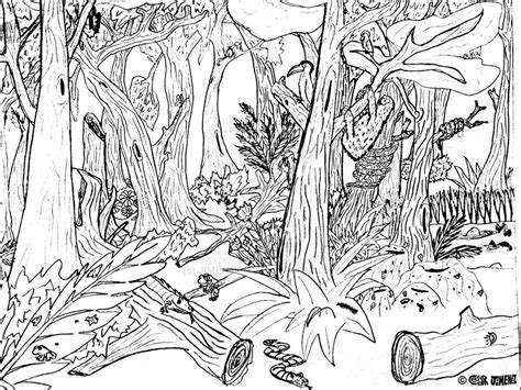 Enchanted Forest Coloring Pages Coloring Home