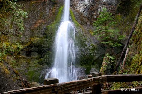 Olympic Peninsula Hikes Guides And Updates Lake Crescent And Marymere